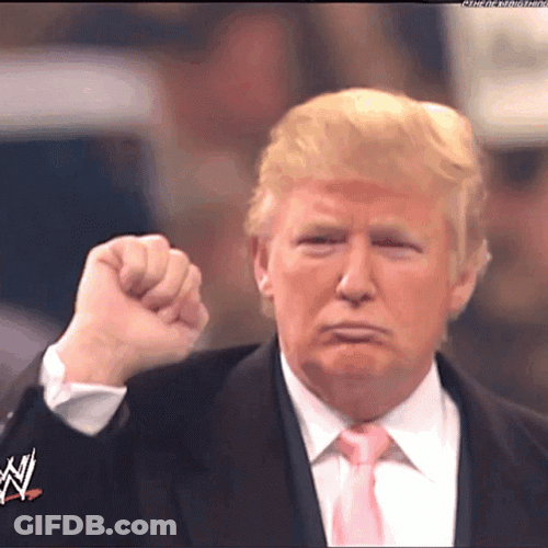 Donald Trump Fist Pump Meme GIF