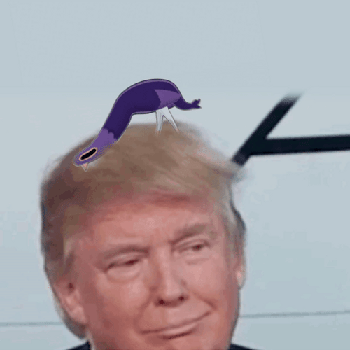 Donald Trump Funny Faces Expression GIF