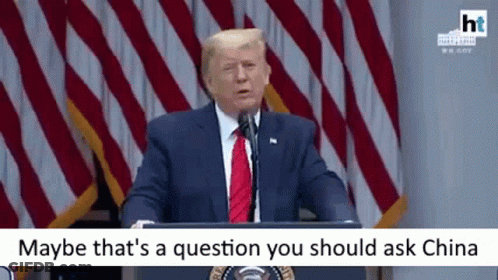 Donald Trump Giving Speech At Podium GIF