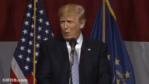 Donald Trump Giving Speech In Front Of Indiana Flag GIF