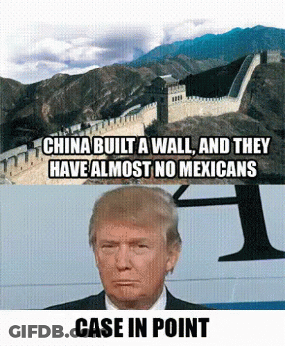 Donald Trump Great Wall Of China Meme GIF