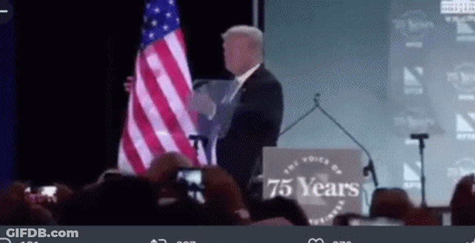 Donald Trump Hug The Flag GIF