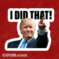 Donald Trump I Did That GIF
