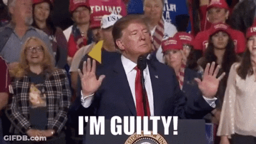 Donald Trump I'm Guilty GIF