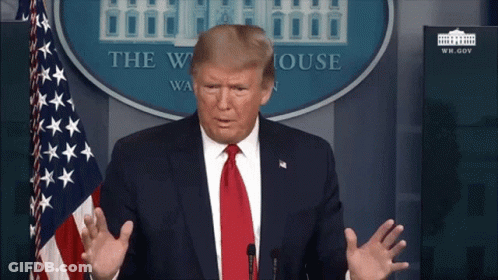 Donald Trump In Front Of White House GIF