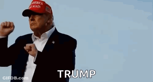 Donald Trump In Red Hat Making Fist Gesture GIF