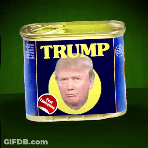 Donald Trump In Spam Can Label GIF