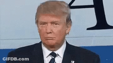 Donald Trump In Suit And Tie GIF