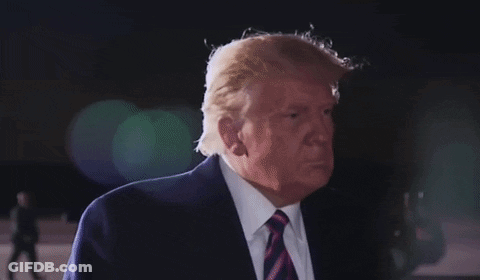 Donald Trump In Suit And Tie Covering Ear GIF