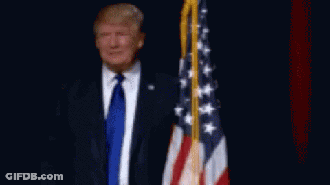 Donald Trump In Suit And Tie In Front Of American Flag GIF