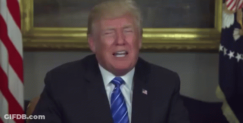 Donald Trump In Suit And Tie In Front Of American Flag GIF