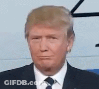 Donald Trump In Suit And Tie Looking At Camera GIF