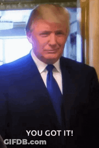Donald Trump In Suit And Tie Saying You Got It GIF