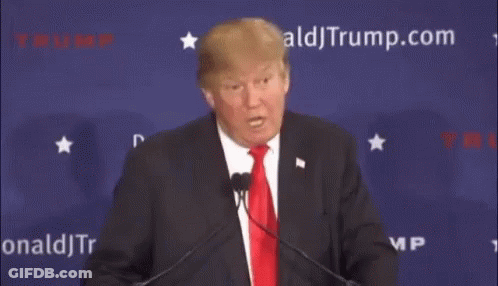 Donald Trump Is Giving A Speech And Says " I Know Words " GIF