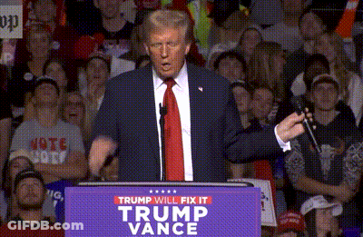 Donald Trump Is Giving A Speech At A Trump Vance Rally GIF