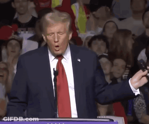Donald Trump Is Giving A Speech In Front Of A Crowd Of People GIF