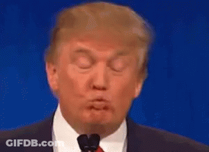 Donald Trump Is Making A Funny Face While Giving A Speech At A Podium . GIF