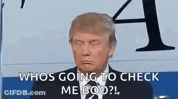 Donald Trump Is Making A Funny Face While Sitting In Front Of A Plane . GIF