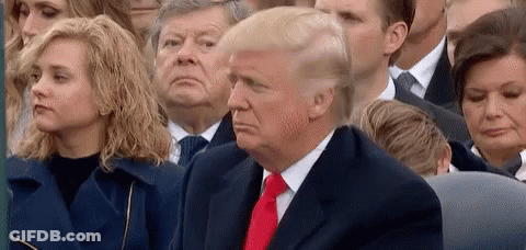 Donald Trump Is Sitting In A Crowd Of People Watching A Ceremony . GIF