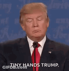 Donald Trump Is Wearing A Suit And Tie And Holding A Microphone . GIF