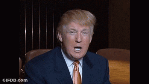 Donald Trump Is Wearing A Suit And Tie And Is Sitting At A Table GIF