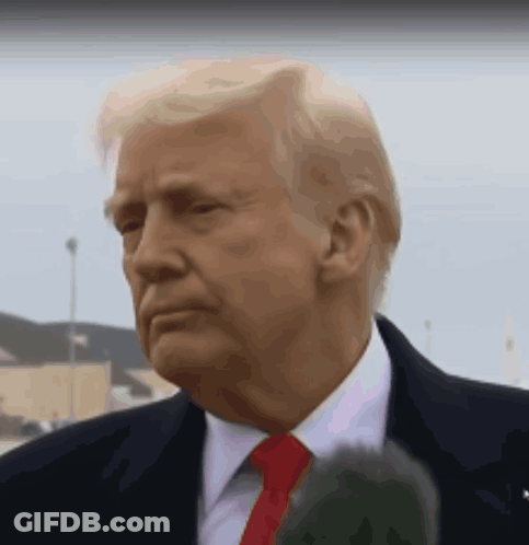 Donald Trump Is Wearing A Suit And Tie And Is Talking Into A Microphone GIF