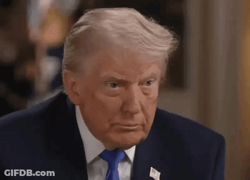 Donald Trump Looking At Camera In Suit And Tie GIF