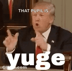 Donald Trump Making Funny Face And Pointing GIF