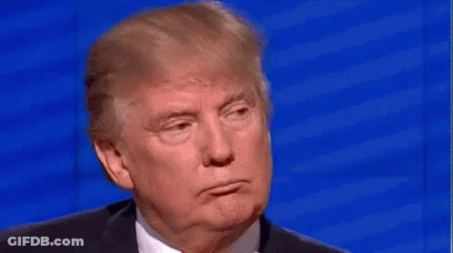 Donald Trump Making Funny Face GIF