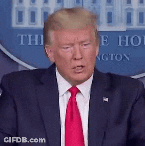 Donald Trump Making Funny Face Speech GIF