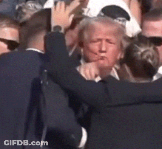 Donald Trump Many Men Fight GIF