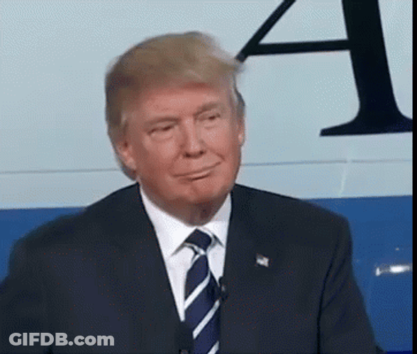 Donald Trump GIF