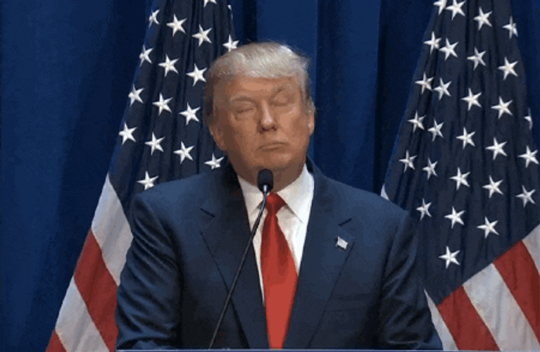 Donald Trump Pointing Down GIF
