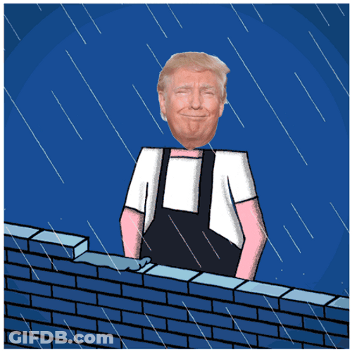 Donald Trump Putting Bricks Meme GIF