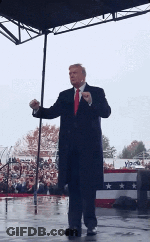 Donald Trump Random Dance GIF
