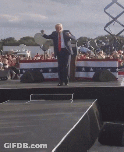 Donald Trump Saying You're Fired GIF