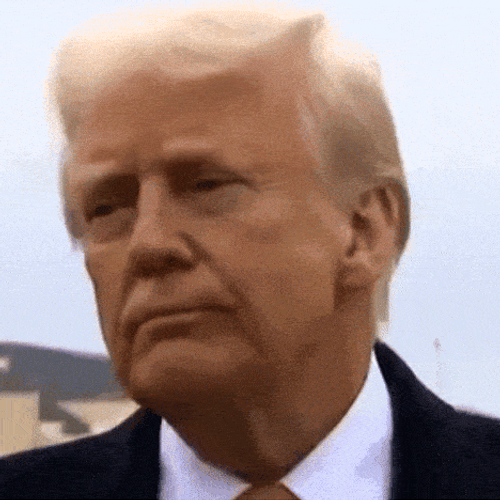 Donald Trump Sidelong Glance GIF