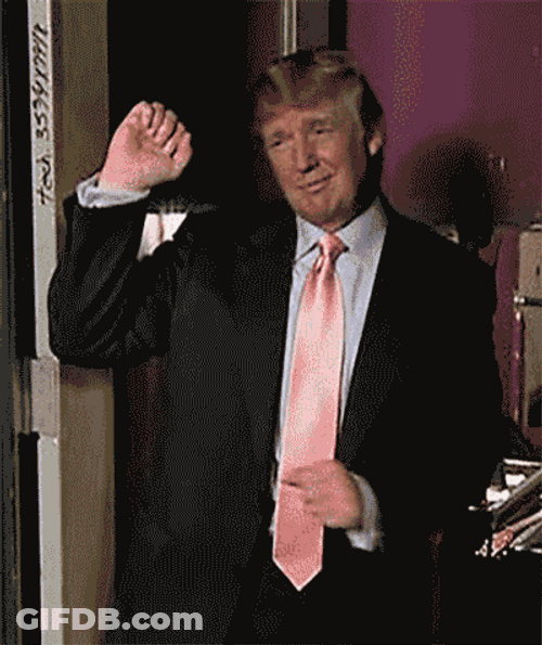 Donald Trump Simple Dancing GIF