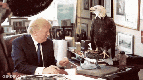 Donald Trump Sitting At Desk With Bald Eagle GIF