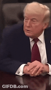 Donald Trump Sitting At Table With Hands Folded GIF