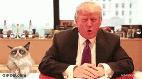 Donald Trump Sitting With Grumpy Cat On Lap GIF