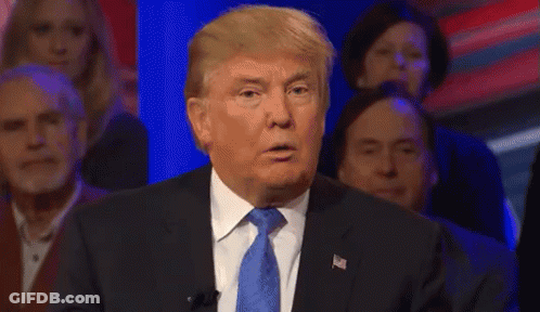 Donald Trump Smiling In Suit And Tie Before Crowd GIF