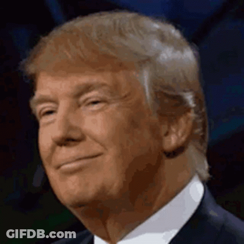 Donald Trump Smiling In Suit And Tie GIF