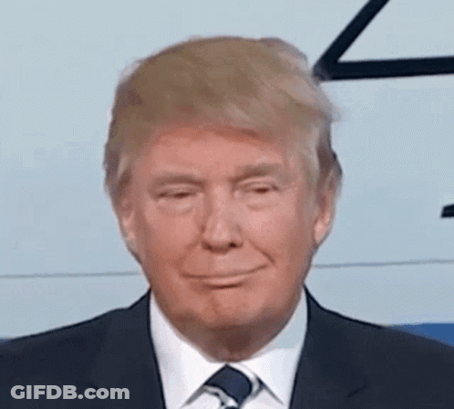 Donald Trump Smiling In Suit GIF