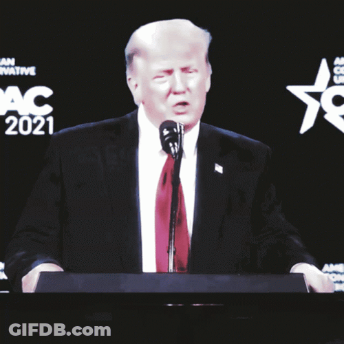 Donald Trump Sorry Not Sorry GIF
