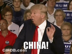 Donald Trump Speaking China GIF