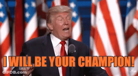 Donald Trump Speaking I Will Be Your Champion GIF