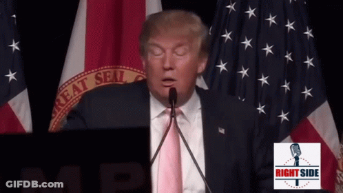 Donald Trump Speaking Into A Microphone In Front Of A Flag That Says Great Seal Of The United States GIF