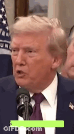 Donald Trump Speaking Into Microphone In Suit And Tie GIF
