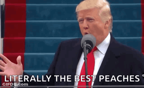 Donald Trump Speaking Into Microphone Saying Best Peaches GIF